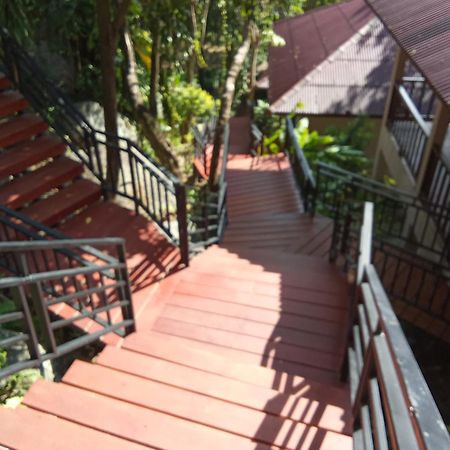 Pawpaw Resort Lamai Beach  Esterno foto